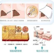 溫州吸脂哪家醫(yī)院做的好