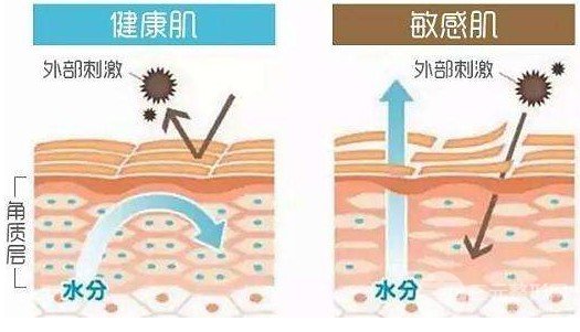 紅血絲可以自己修復嗎