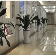 南京植發(fā)醫(yī)院排名及地址