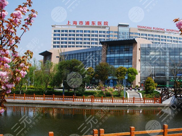 上海隆胸好的三甲医院是哪里