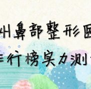 德州鼻部整形醫(yī)院排行榜實力測評