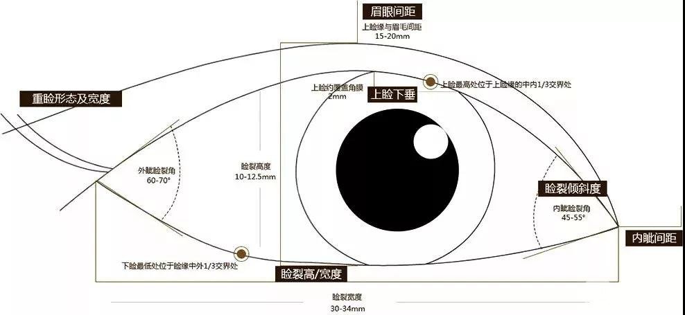 專業(yè)雙眼皮手術(shù)科普