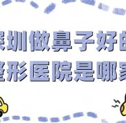 深圳做鼻子好的整形醫(yī)院是哪家