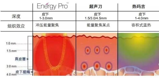 賽諾龍又雙叒上新