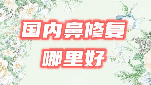 哪里修復(fù)鼻子做的好