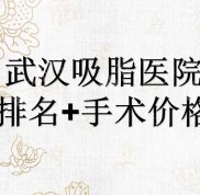 武漢吸脂醫(yī)院排名