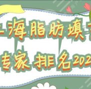 上海脂肪填充專(zhuān)家排名2024