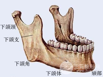 下頜角缺失怎么修復(fù)