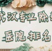 武漢專業(yè)除皺醫(yī)院排名2024發(fā)布