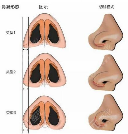 上海九院挂号网上预约挂号攻略&