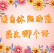 大連自體脂肪隆胸醫(yī)生哪個(gè)好