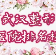 武漢排名前十整形醫(yī)院都有哪些