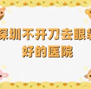 深圳不開(kāi)刀去眼袋好的醫(yī)院是哪家
