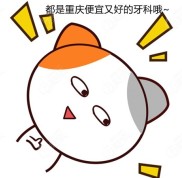 凡進(jìn)入重慶牙齒矯正醫(yī)院排名榜的