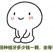 莆田種植牙多少錢一顆