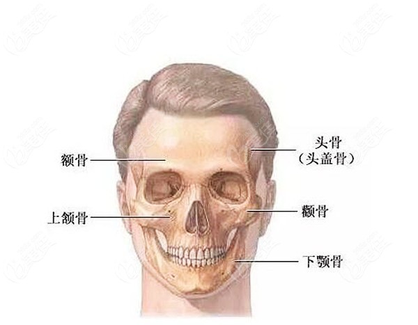 种植牙做穿颧和穿翼有区别吗