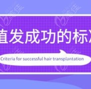 碧蓮盛植發(fā)毛囊存活率是多少