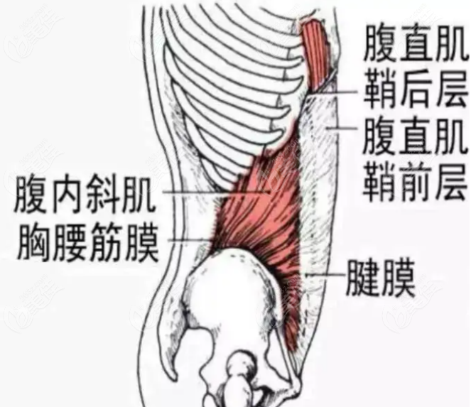 腹直肌筋膜隆鼻怎么樣