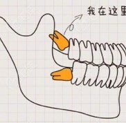 洛陽口腔醫(yī)院拔智齒多少錢