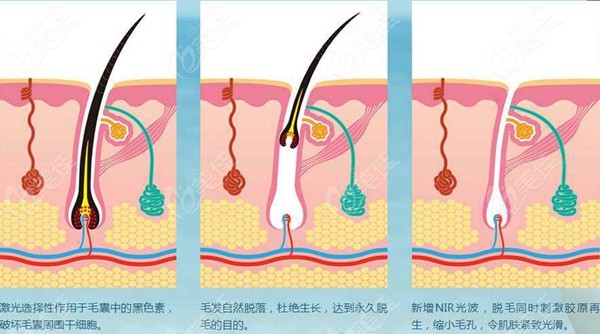 額頭三指寬發(fā)際線算低了