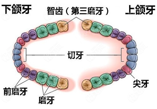 拔智齒牙會(huì)改變臉型嗎