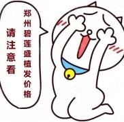 超全的鄭州碧蓮盛植發(fā)價格單