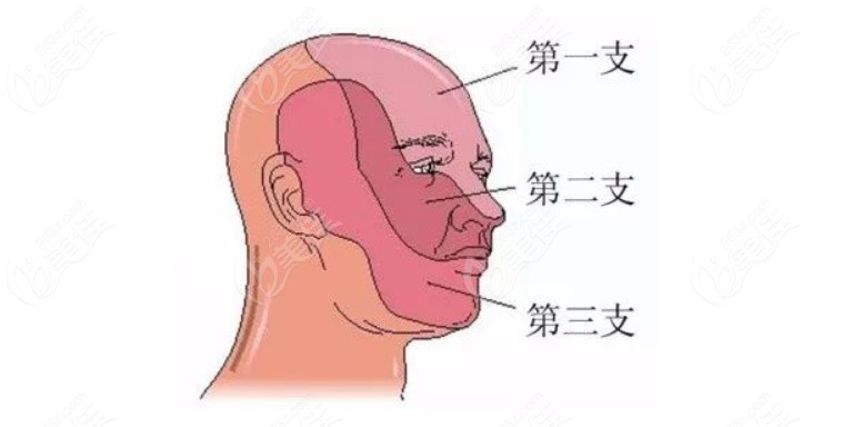 牙疼是因?yàn)槭裁丛蛞鸬? /></p><p>頜骨骨髓炎：</p><p>癥狀：（236z）疼痛牙齒逐漸增多，放射性疼痛明顯，牙齒松動(dòng)；（.com）</p><p>治療方法:需要正規(guī)口腔醫(yī)院拍照檢查，找到頜骨髓炎區(qū)域，檢查具體情況，去除骨髓炎腔內(nèi)炎性骨質(zhì)；</p><p>現(xiàn)在朋友們可以自檢了。他們應(yīng)該能夠找到牙痛的原因。根據(jù)不同情況及時(shí)治療牙痛，不要拖延，否則治療費(fèi)用高，會(huì)受苦。</p>            </div>
            <section style="width: 100%;display: flex">
                <div style="margin-bottom: 35px;
            background: #fff;
            position: relative;
            border-radius: 8px;">
                    <div   id="f4bwtpe"   class="shenming">
                        <div style="text-align: center">網(wǎng)站提醒和聲明</div>
                        <span>本站為注冊用戶提供信息存儲空間服務(wù)，非“愛麗幫”編輯上傳提供的文章/文字均是注冊用戶自主發(fā)布上傳，不代表本站觀點(diǎn)，版權(quán)歸原作者所有，如有侵權(quán)、虛假信息、錯(cuò)誤信息或任何問題，請及時(shí)聯(lián)系我們，我們將在第一時(shí)間刪除或更正。</span>
                    </div>
                    
                </div>
            </section>
            <div   id="sycpe9g"   class="news-related-box">
                <div   id="xfj4u4h"   class="hd">
                    <h2><img src="/statics/amazeui/assets/image/zuixinzixun.png"><span> 相關(guān)文章</span></h2>
                </div>
                <ul class="news">
                                    </ul>
            </div>
        </div>

        <!-- 右邊欄 -->
        <div   id="c49jtyv"   class="pull-right" style="width: 280px;">
                            <div   id="vtivagu"   class="hot-side doctor">
                    <div   id="j9hdj2m"   class="hd">相關(guān)整形醫(yī)生</div>
                    <div   id="xe9qflj"   class="ul">
                                                <a class="li" target="_blank" href="/doctor/det/d10001804.html">
                            <div   id="hhupcqd"   class="pic">
                            <img src="https://zf-tuiguang.oss-cn-hangzhou.aliyuncs.com/alb.com/doc/9bbfb5c8c777de1fde4b37f492153b3d.jpg?x-oss-process=image/resize,m_mfit,w_90,h_90" alt="李勁良">
                            <div   id="dda9ihu"   class="position">副主任醫(yī)師</div>
                            </div>
                            <div   id="izfctpv"   class="info">
                                <div   id="94e99dz"   class="title">李勁良</div>
                                                                <p class="hospital"></p>
                                                            </div>
                        </a>
                                                <a class="li" target="_blank" href="/doctor/det/d10001803.html">
                            <div   id="n7cqoby"   class="pic">
                            <img src="https://zf-tuiguang.oss-cn-hangzhou.aliyuncs.com/alb.com/doc/9bbfb5c8c777de1fde4b37f492153b3d.jpg?x-oss-process=image/resize,m_mfit,w_90,h_90" alt="于海軍">
                            <div   id="iqmroth"   class="position">副主任醫(yī)師</div>
                            </div>
                            <div   id="irmj9dr"   class="info">
                                <div   id="449uaw8"   class="title">于海軍</div>
                                                                <p class="hospital"></p>
                                                            </div>
                        </a>
                                                <a class="li" target="_blank" href="/doctor/det/d10001802.html">
                            <div   id="cuaeb2f"   class="pic">
                            <img src="https://zf-tuiguang.oss-cn-hangzhou.aliyuncs.com/alb.com/doc/9bbfb5c8c777de1fde4b37f492153b3d.jpg?x-oss-process=image/resize,m_mfit,w_90,h_90" alt="史迎生">
                            <div   id="en5gcye"   class="position">副主任醫(yī)師</div>
                            </div>
                            <div   id="uc5mbxl"   class="info">
                                <div   id="47i3re9"   class="title">史迎生</div>
                                                                <p class="hospital"></p>
                                                            </div>
                        </a>
                                                <a class="li" target="_blank" href="/doctor/det/d10000937.html">
                            <div   id="nsesxlr"   class="pic">
                            <img src="https://zf-tuiguang.oss-cn-hangzhou.aliyuncs.com/alb.com/doc/ae14eac0bfe634933a427e273666847d.jpg?x-oss-process=image/resize,m_mfit,w_90,h_90" alt="董春姬">
                            <div   id="jheaxla"   class="position">副主任醫(yī)師</div>
                            </div>
                            <div   id="4hur8bx"   class="info">
                                <div   id="tcq17ot"   class="title">董春姬</div>
                                                                <p class="hospital"></p>
                                                            </div>
                        </a>
                                                <a class="li" target="_blank" href="/doctor/det/d10000936.html">
                            <div   id="qmawtzf"   class="pic">
                            <img src="https://zf-tuiguang.oss-cn-hangzhou.aliyuncs.com/alb.com/doc/06c88a603160830b6e60f39d30f42320.jpg?x-oss-process=image/resize,m_mfit,w_90,h_90" alt="徐茂武">
                            <div   id="6wbqnkh"   class="position">副主任醫(yī)師</div>
                            </div>
                            <div   id="ldsxnlz"   class="info">
                                <div   id="7kfc1va"   class="title">徐茂武</div>
                                                                <p class="hospital"></p>
                                                            </div>
                        </a>
                                                <a class="li" target="_blank" href="/doctor/det/d10000253.html">
                            <div   id="jojo3io"   class="pic">
                            <img src="https://zf-tuiguang.oss-cn-hangzhou.aliyuncs.com/alb.com/doc/ae14eac0bfe634933a427e273666847d.jpg?x-oss-process=image/resize,m_mfit,w_90,h_90" alt="許光磊">
                            <div   id="zb47l3e"   class="position">主任醫(yī)師</div>
                            </div>
                            <div   id="ls8kywu"   class="info">
                                <div   id="nejgwky"   class="title">許光磊</div>
                                                                <p class="hospital"></p>
                                                            </div>
                        </a>
                                            </div>
                </div>
                        </div>
        <!-- 右邊欄 end-->

    </div>
</div>


<div   id="py9zvky"   class="fixed-bottom flex">
    <div   id="rjwawth"   class="logo-box flex">
      <img src="/statics/img/logo_icon.png" alt="" lazy />
      <div>
        <p class="brand"><span id="9kglsou"    class="name">愛麗幫</span><span>整形</span></p>
        <p class="slogan">為美而生 · 為美而約</p>
      </div>
    </div>
    <ul class="flex-sb">
      <li id="v8djvj3"    class="zxBtn mqBtn">
        <div   id="ypdi90r"   class="icon"><i></i></div>
        <div   id="dbpmi84"   class="title">價(jià)格查詢</div>
        <p>快速查價(jià)格</p>
      </li>
      <li id="n9vi430"    class="zxBtn mqBtn">
        <div   id="gptxtlx"   class="icon"><i></i></div>
        <div   id="4anao80"   class="title">專業(yè)院線</div>
        <p>1v1定制服務(wù)</p>
      </li>
      <li id="pp5qf7y"    class="zxBtn mqBtn">
        <div   id="47k8k95"   class="icon"><i></i></div>
        <div   id="kk51jhf"   class="title">在線咨詢</div>
        <p>7x24小時(shí)在線</p>
        <div   id="ww0yu3k"   class="doctor"></div>
      </li>
    </ul>
    <div   id="c97y79d"   class="close-btn"></div>
    <div   id="ve3x1iq"   class="consult zxBtn mqBtn"></div>
</div>
<footer class="footer">
    <div   id="r82trvr"   class="nav wrap flex-sb">
        <a class="doctor" href="/doctor/yi.html" target="_blank">找醫(yī)生</a>
        <a class="hospital" href="/hospital/yuan.html" target="_blank">找醫(yī)院</a>
        <a class="project" href="/item/mu.html" target="_blank">知識百科</a>
        <a class="news" href="/news.html" target="_blank">資訊文章</a>
        <a class="ask" href="/ask/wen.html" target="_blank">專業(yè)問答</a>
    </div>
    <div   id="2w3ohci"   class="black-wrap">
                <div   id="7qhvhla"   class="grid-box">
            <dl>
                <dt class="dt-1">愛麗幫</dt>
                <dd><a rel="nofollow"  href="/about/index.html">關(guān)于我們</a></dd>
                <dd><a rel="nofollow"  href="/about/relation.html">聯(lián)系我們</a></dd>
                <dd><a rel="nofollow"  href="javascript:;"  class="tc-zx">在線客服</a></dd>
            </dl>
            <dl>
                <dt class="dt-2">專業(yè)醫(yī)院</dt>
                                <dd><a href="/hospital/det/h101355.html">廣州曙光整形美容醫(yī)院</a></dd>
                                <dd><a href="/hospital/det/h103218.html">四川晶膚醫(yī)學(xué)美容醫(yī)院</a></dd>
                                <dd><a href="/hospital/det/h101369.html">深圳仁合醫(yī)院</a></dd>
                                <dd><a href="/hospital/det/h103177.html">重慶藝星醫(yī)療美容醫(yī)院</a></dd>
                            </dl>
            <dl>
                <dt class="dt-3">整形醫(yī)院</dt>
                <dd><a target="_blank" href="/item/mu.html">整形項(xiàng)目</a></dd>
                <dd><a target="_blank" href="/news/xun.html">整形資訊</a></dd>
            </dl>
            <dl>
                <dt class="dt-4">熱門項(xiàng)目</dt>
                                <dd><a target="_blank" href="/item/det/s1000060.html">玻尿酸隆鼻</a></dd>
                                <dd><a target="_blank" href="/item/det/s1000048.html">韓式雙眼皮</a></dd>
                                <dd><a target="_blank" href="/item/det/s1000049.html">埋線雙眼皮</a></dd>
                                <dd><a target="_blank" href="/item/det/s1000050.html">切開雙眼皮</a></dd>
                            </dl>
        </div>
    </div>
    <div   id="p9symjy"   class="wrap">
        <div   id="yvnr4lq"   class="site-link">
            <a rel="nofollow" href="/about/index.html" target="_blank">關(guān)于我們</a>
            <a rel="nofollow" href="/about/relation.html" target="_blank">聯(lián)系我們</a>
            <a href="/item/mu.html" target="_blank">項(xiàng)目預(yù)約</a>
            <a href="/item/mu.html" target="_blank">項(xiàng)目大全</a>
            <a href="/hospital/yuan.html" target="_blank">醫(yī)院查詢</a>
            <a href="/news/xun.html" target="_blank">熱點(diǎn)資訊</a>
            <a  rel="nofollow" href="/about/privacy.html" target="_blank">隱私協(xié)議</a>
            <a  rel="nofollow" href="/about/pact.html" target="_blank">用戶協(xié)議</a>
            <a href="/sitemap">sitemap</a>
        </div>
        <p class="copyright">
            Copyright ? 2024 ailibang.com 版權(quán)所有
            <a rel="nofollow"  target="_blank">蜀ICP備14013245號-1</a>
            成都如麗網(wǎng)絡(luò)科技有限公司
        </p>
        <p class="statement">
            聲明：任何信息都不能代替執(zhí)業(yè)醫(yī)師面對面的診斷和治療，本站所展示的各種信息和數(shù)據(jù)等僅供參考，不代表任何診療建議或意見，本站不承擔(dān)由此引起的法律責(zé)任。本站所有信息均來源于網(wǎng)絡(luò)轉(zhuǎn)載或其他注冊用戶上傳分享，其原創(chuàng)性以及文中陳述文字和內(nèi)容未經(jīng)本站證實(shí)，本站對該文以及其中全部或部分內(nèi)容、文字的真實(shí)性、完整性、及時(shí)性，不作出任何保證或承諾；如您發(fā)現(xiàn)信息涉及版權(quán)等問題，請及時(shí)與我方聯(lián)系，本站QQ:1169288192，我方會(huì)盡快處理。
            凡以任何方式瀏覽、登錄本站，或直接、間接使用本站資料者，視為自愿接受本站聲明的約束。
            <br>
            溫馨提示： 愛麗幫網(wǎng)溫馨提示：整形有風(fēng)險(xiǎn)，請謹(jǐn)慎選擇。未滿18周歲的青少年不宜做整形手術(shù)！
        </p>
        <div   id="prm4t40"   class="gov">
            <a href="#" target="_blank" rel="nofollow">
                <img src="/statics/img/ebs_f4a49dc.png" alt="市場監(jiān)督管理局企業(yè)主體身份公示">
            </a>
            <a href="#" target="_blank" rel="nofollow">
                <img src="/statics/img/xfz_ad6bc96.jpg" alt="消費(fèi)維權(quán)服務(wù)">
            </a>
            <a class="reportform" href="#" target="_blank" rel="nofollow">
                <img src="/statics/img/zhuan.jpg">
            </a>
        </div>
    </div>
</footer>






<footer>
<div class="friendship-link">
<p>感谢您访问我们的网站，您可能还对以下资源感兴趣：</p>
<a href="http://m.relentlessbeating.com/" title="a在线视频免费人妻中文少妇|亚洲精品国产1区2区3区|亚洲AV无码不卡一区二区三区|春色五月天少妇综合区">a在线视频免费人妻中文少妇|亚洲精品国产1区2区3区|亚洲AV无码不卡一区二区三区|春色五月天少妇综合区</a>

<div class="friend-links">


</div>
</div>

</footer>


<script>
(function(){
    var bp = document.createElement(