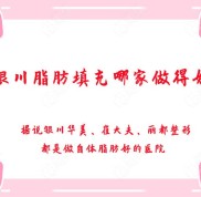 銀川脂肪填充哪家做得好