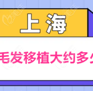 上海做毛發(fā)移植大約需要多少錢