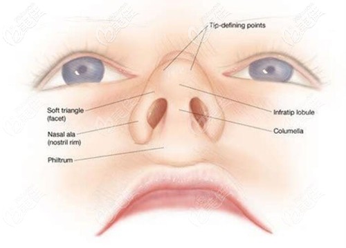 唇裂鼻畸形造成的鼻孔不對稱可以修復(fù)