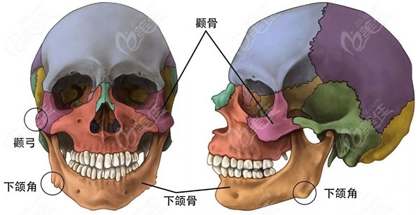 武汉颧骨内推加下颌角的手术价格里有武汉下颌角内推磨骨的实例