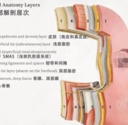 鞍山齊敏美容做小拉皮怎么樣