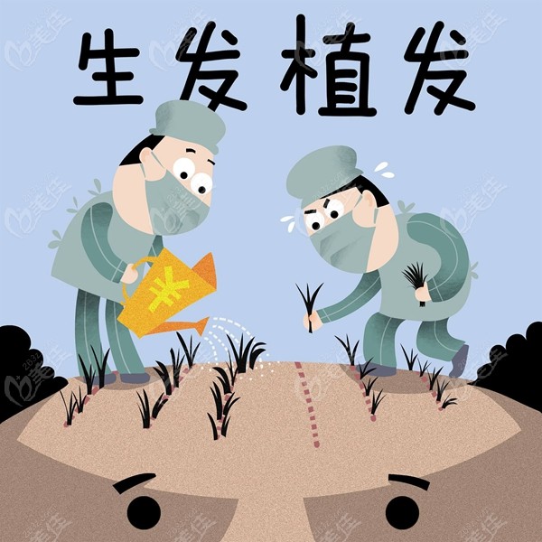 广东湛江植发需要多少钱