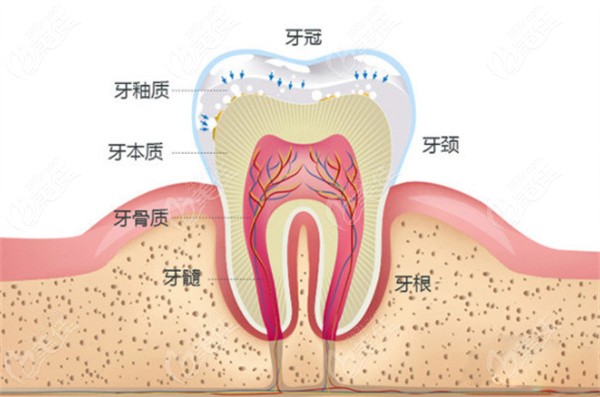 PAOO可以预防牙槽骨吸收吗