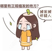 ?？谀睦镉姓?guī)植發(fā)的地方
