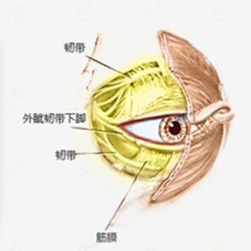 北京双眼皮修复医生排名前十名揭晓