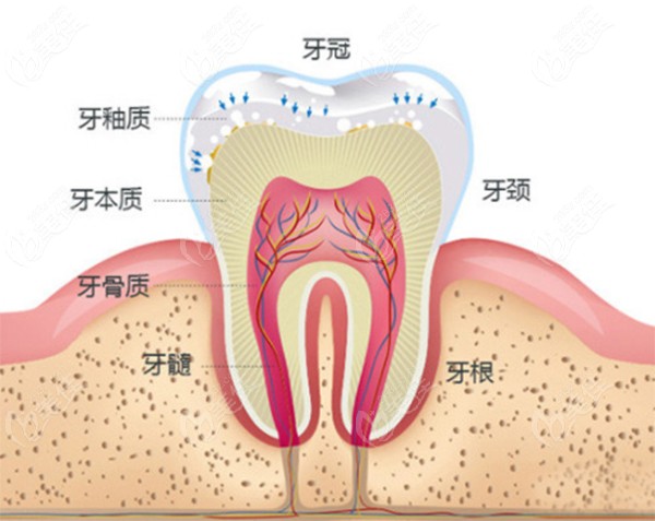 南京根管治療費(fèi)用不出意外的來了