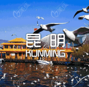 昆明十大植發(fā)比較好的醫(yī)院排名再刷新