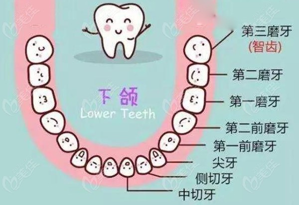 南京根管治療費(fèi)用不出意外的來了