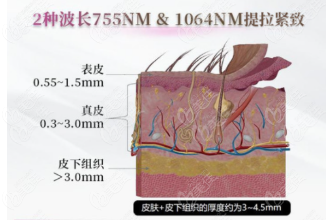 在研究5d膠原光原理是什么時(shí)