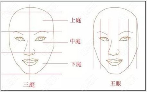 臉太長閨蜜居然建議我做雙顎手術(shù)縮短中庭