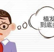 威海頭發(fā)種植多少錢