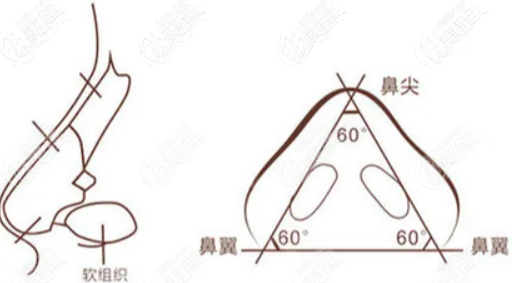 師俊莉做鼻子怎么樣啊真的好么