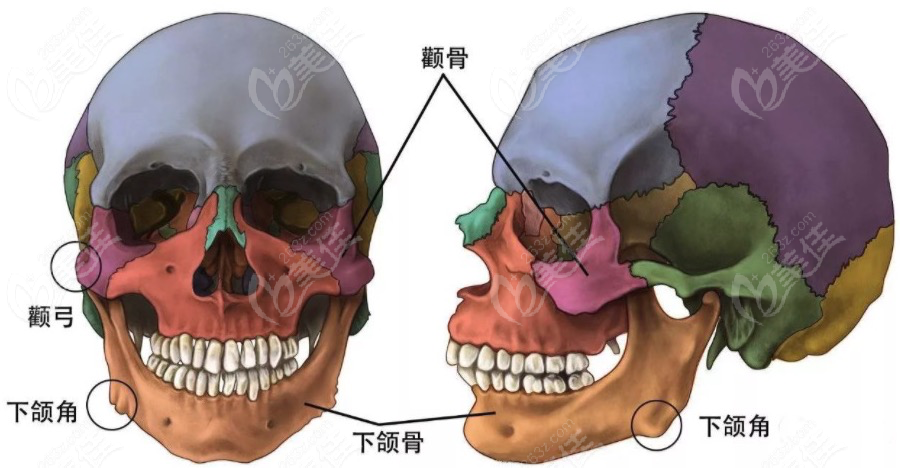 顴骨內(nèi)推二次修復(fù)為什么難度更大