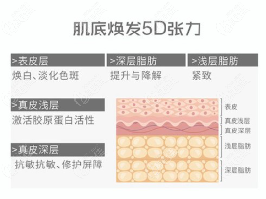 在研究5d膠原光原理是什么時(shí)