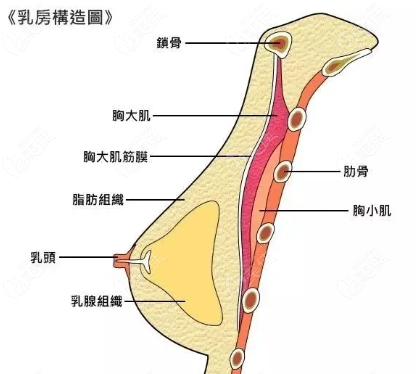 郝永生做的隆胸怎么样