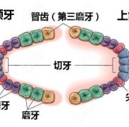 在鄭州拔智齒大概多少錢一顆