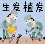 青島大麥植發(fā)價(jià)格查詢