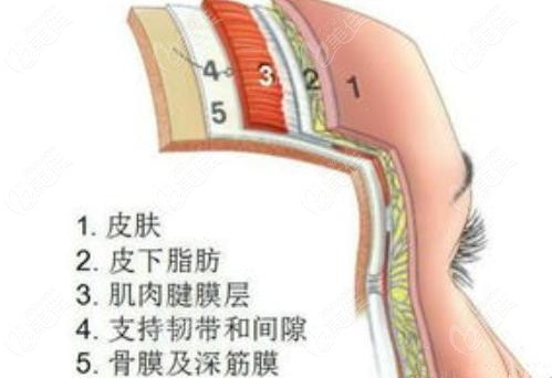 從法式能量提升面部怎么做的