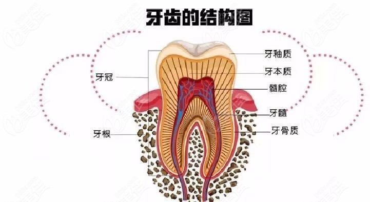 杭州下沙牙科医院排名中江滨瑞创口腔种植牙名列前茅